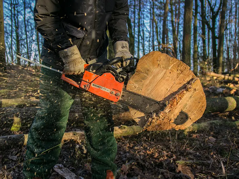 The lumberjack is carrying out logging operations