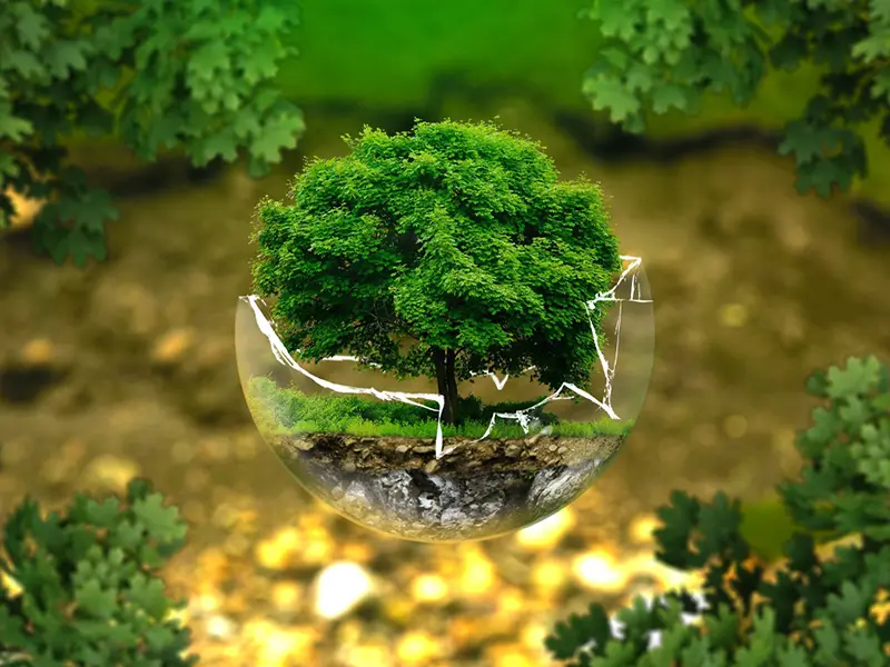 Pictures calling for us to protect the environment